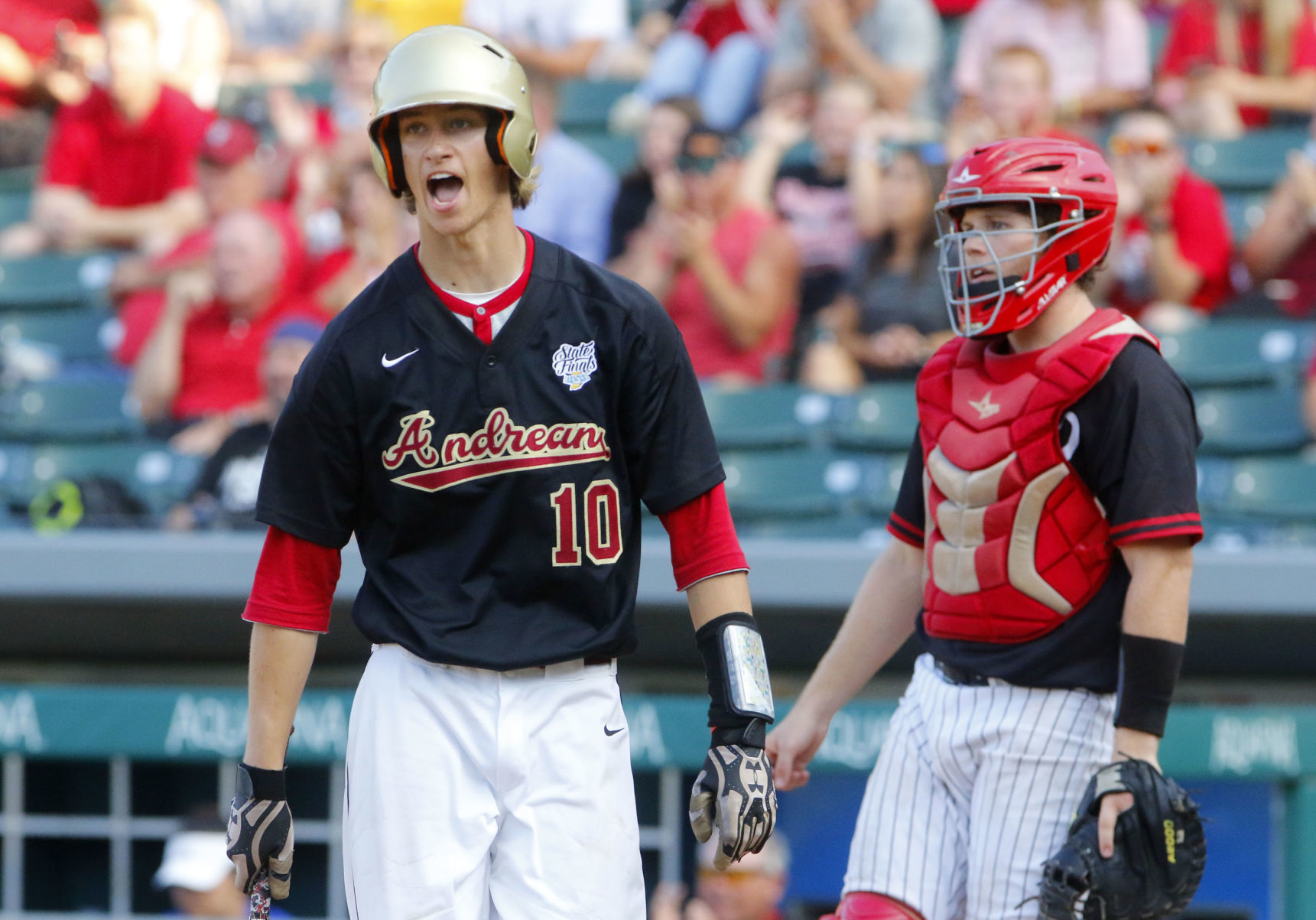 Class 3A baseball championship: Andrean vs. Edgewood